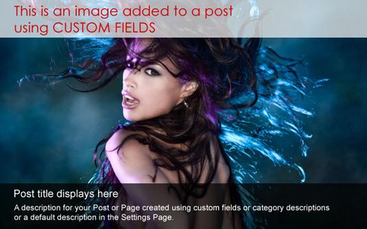 photogallery02